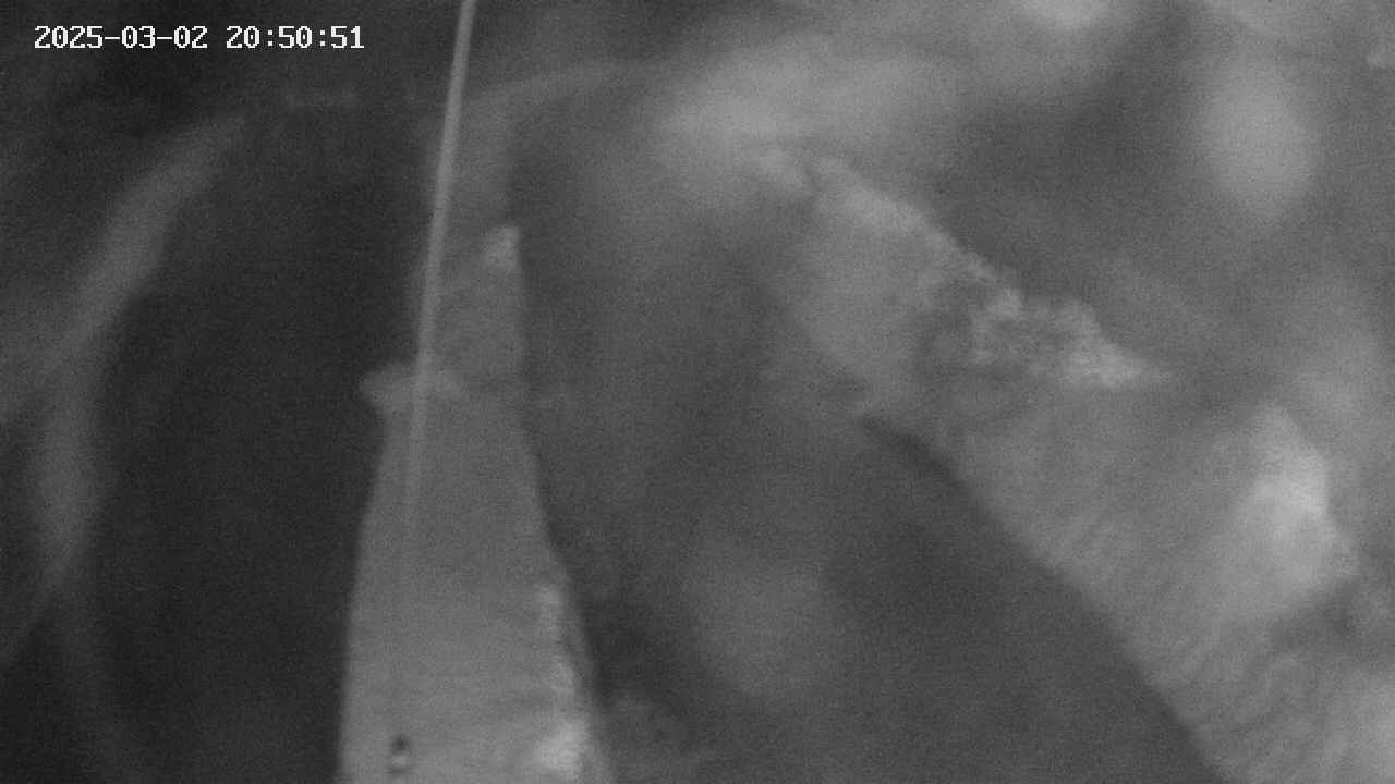 area11-20250302205051.jpg