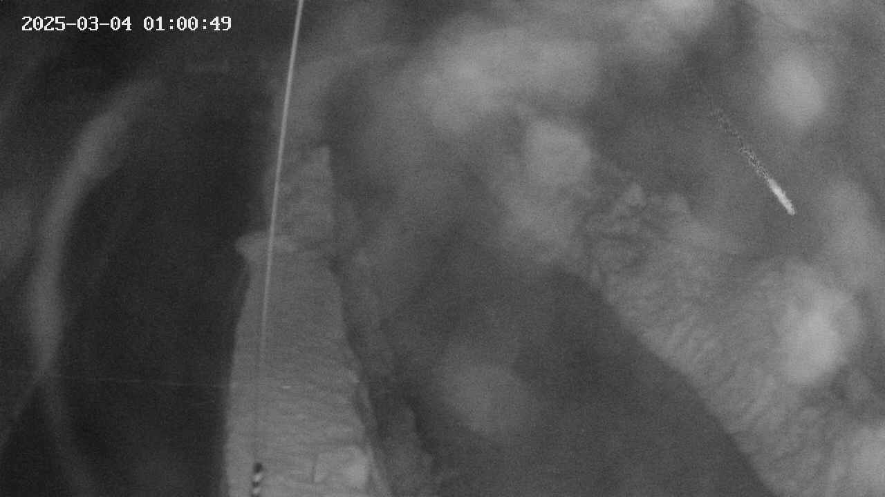 area11-20250304010050.jpg