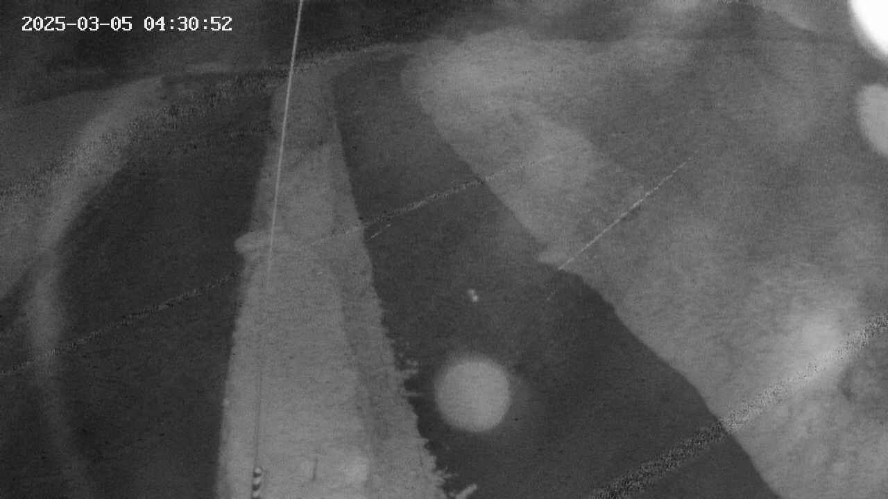 area11-20250305043052.jpg