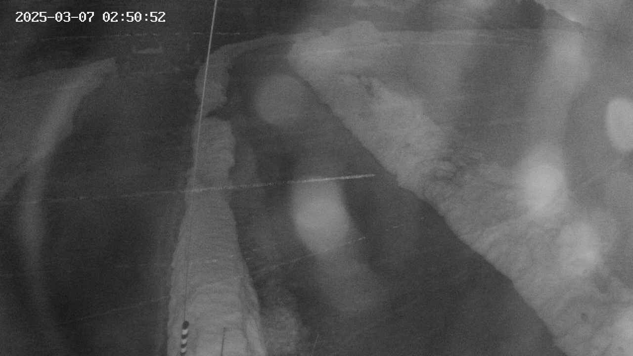 area11-20250307025053.jpg