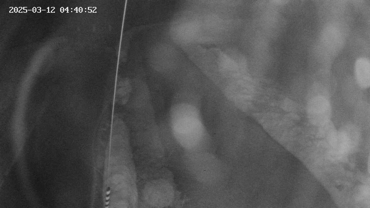 area11-20250312044053.jpg