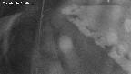 area11-20250316050053.jpg