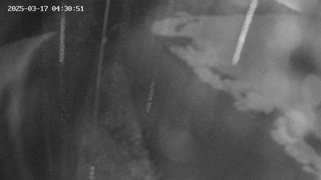 area11-20250317043052.jpg