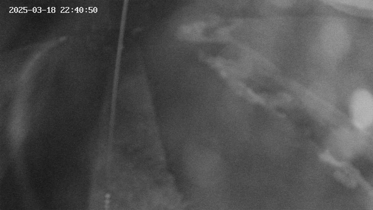 area11-20250318224051.jpg
