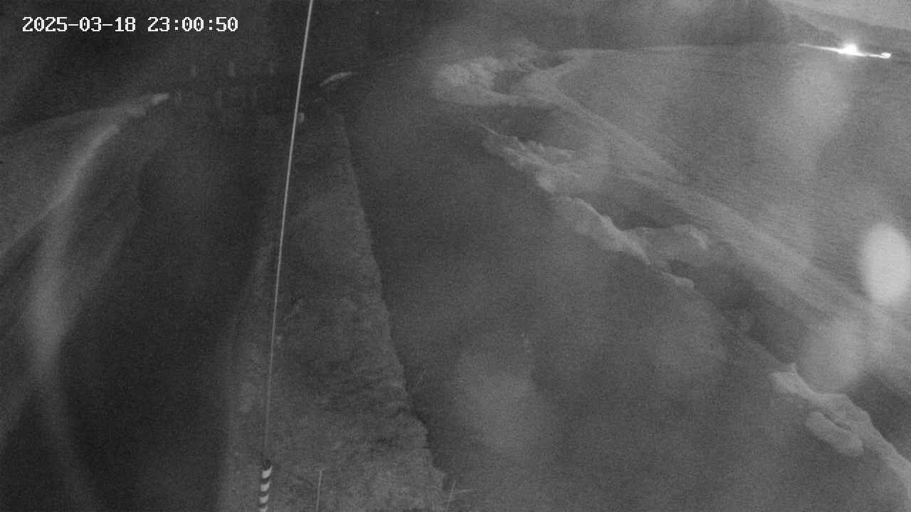 area11-20250318230051.jpg