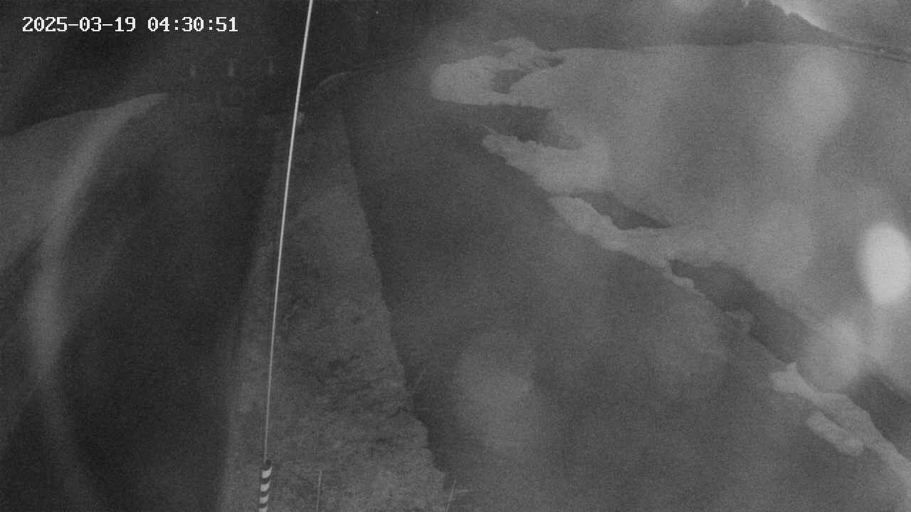 area11-20250319043052.jpg
