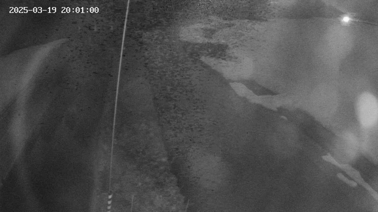 area11-20250319200101.jpg