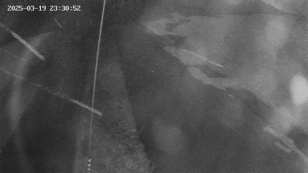 area11-20250319233053.jpg