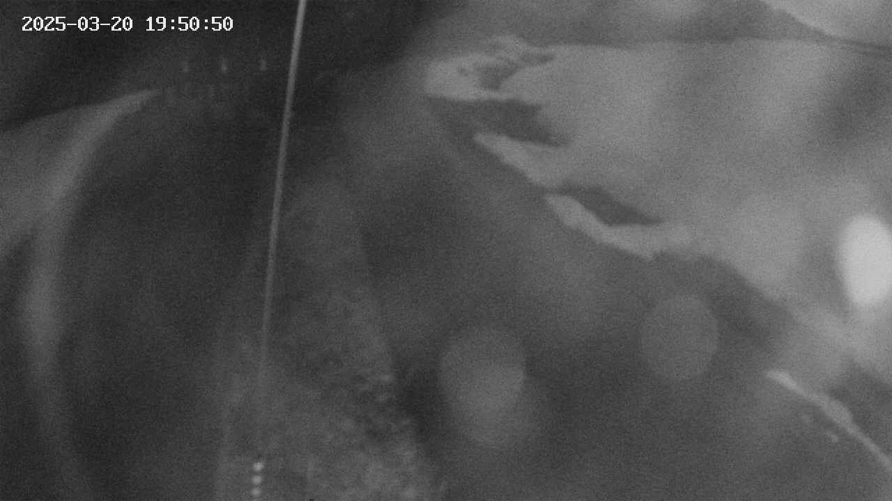area11-20250320195051.jpg