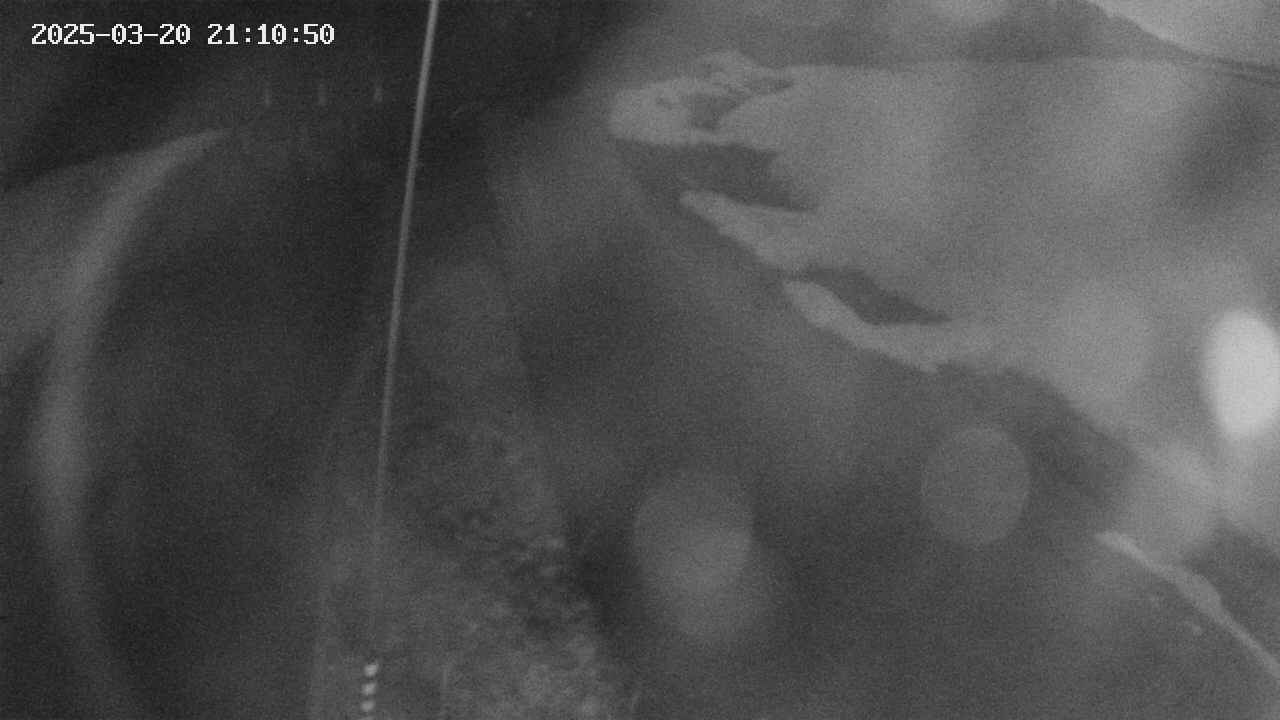 area11-20250320211050.jpg