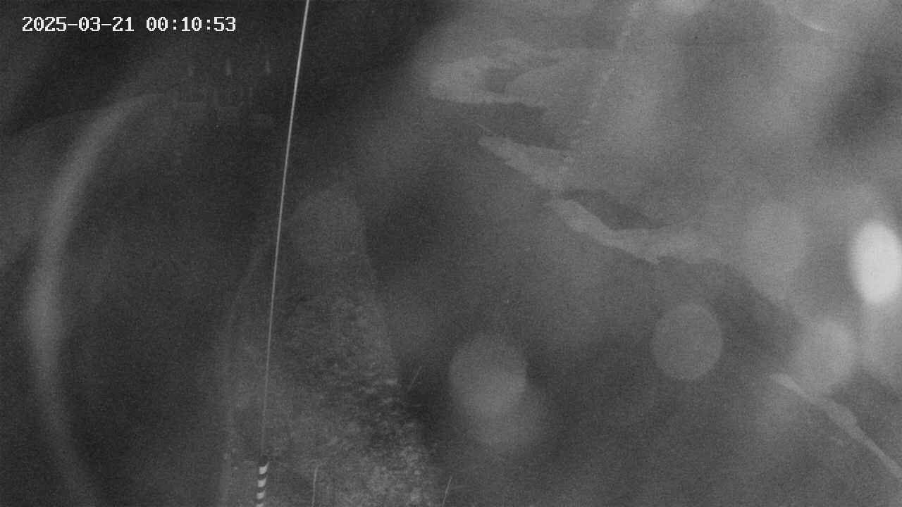 area11-20250321001053.jpg