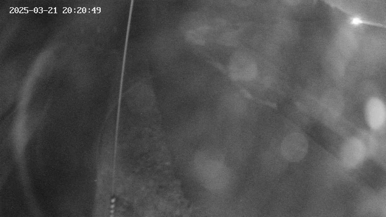 area11-20250321202050.jpg