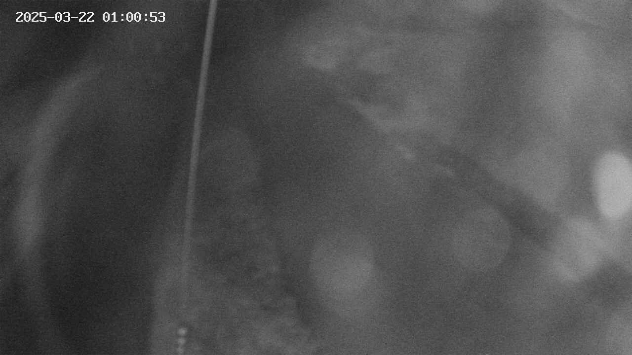 area11-20250322010054.jpg