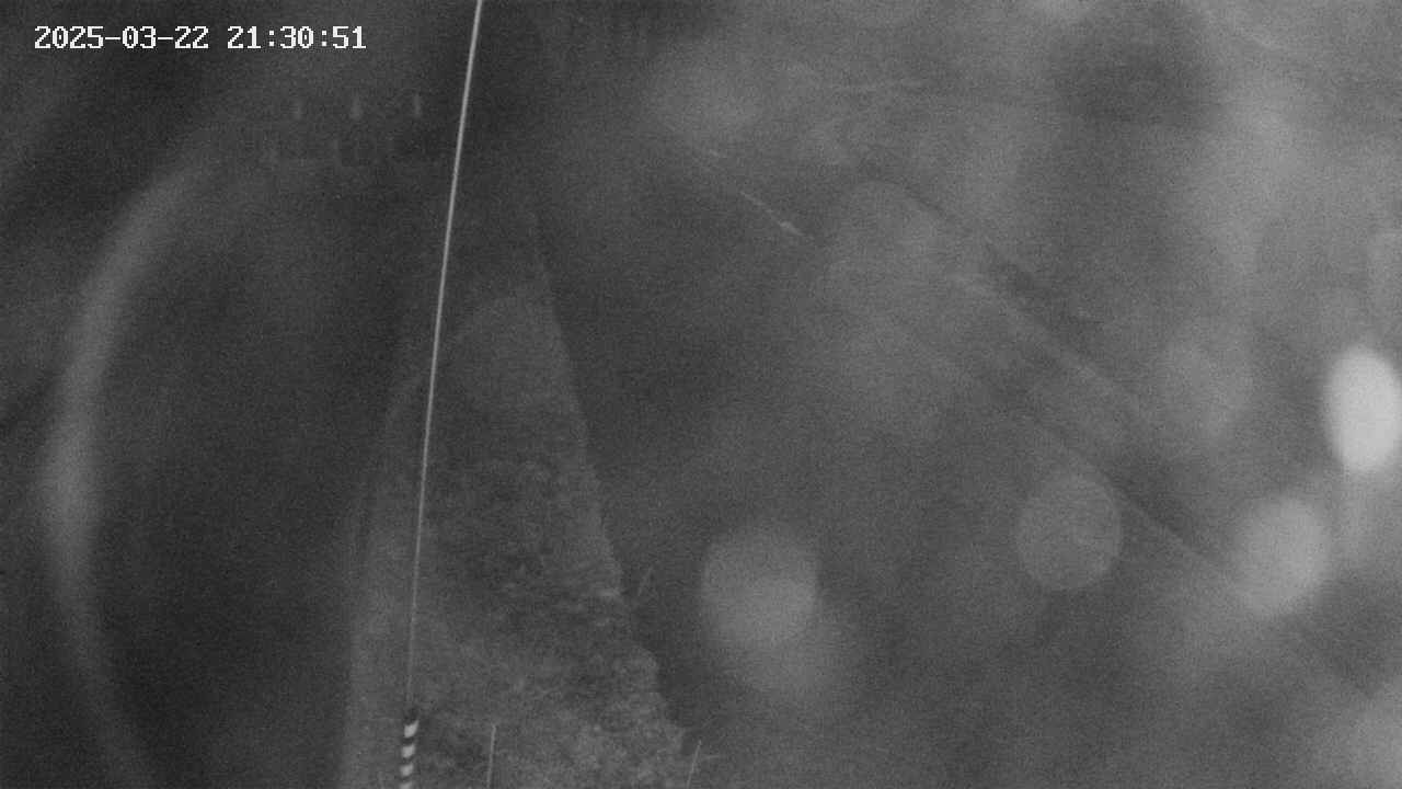 area11-20250322213052.jpg