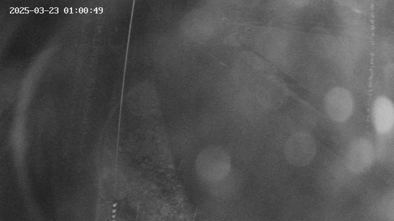 area11-20250323010050.jpg