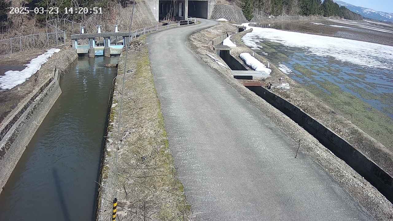 area11-20250323142052.jpg