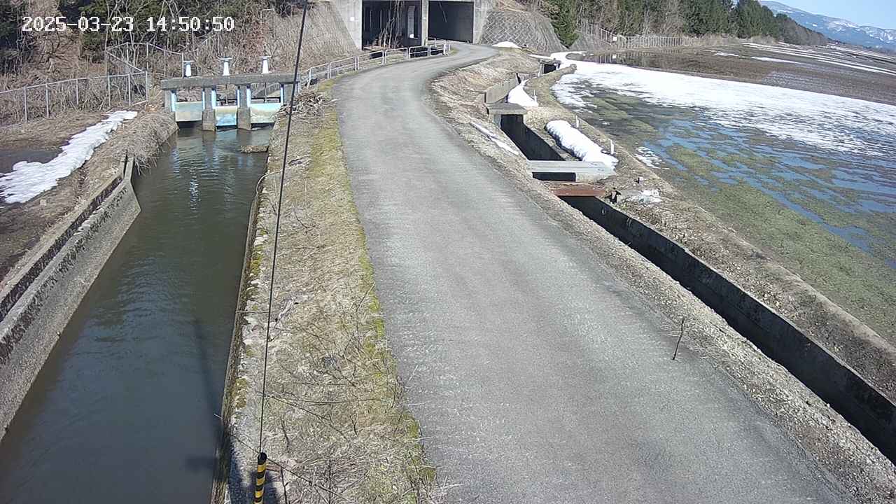 area11-20250323145052.jpg