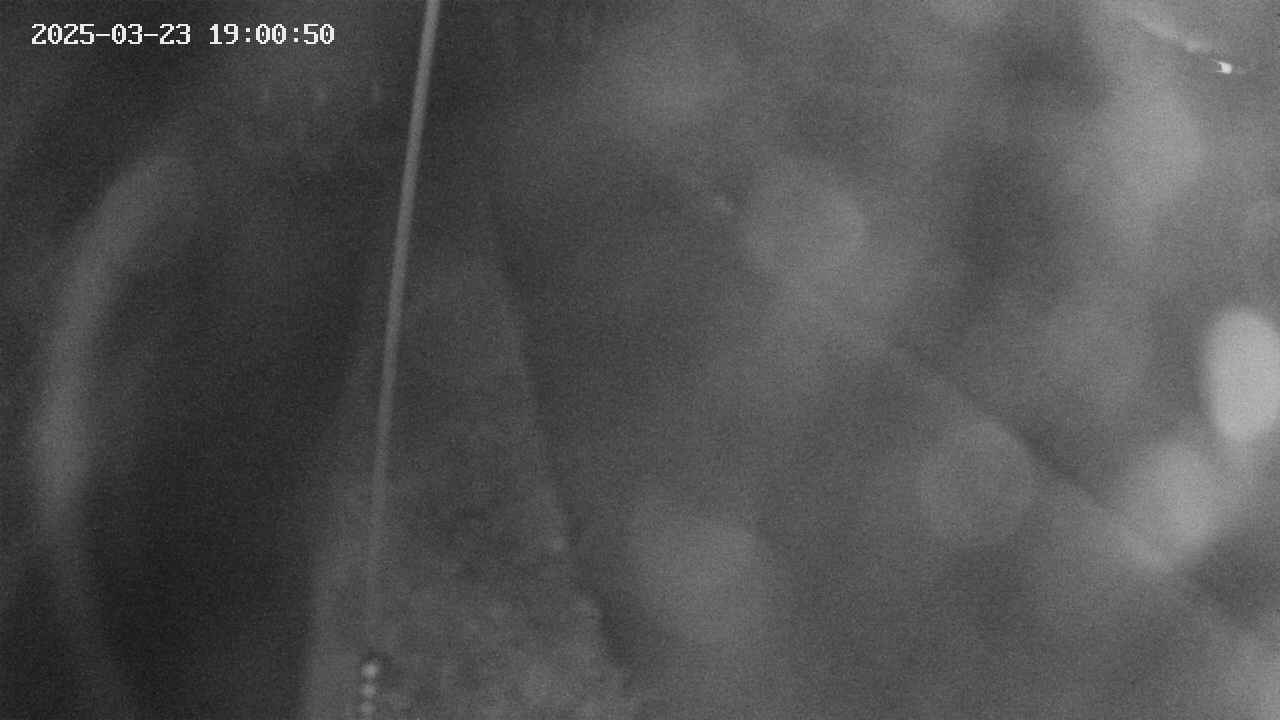 area11-20250323190051.jpg