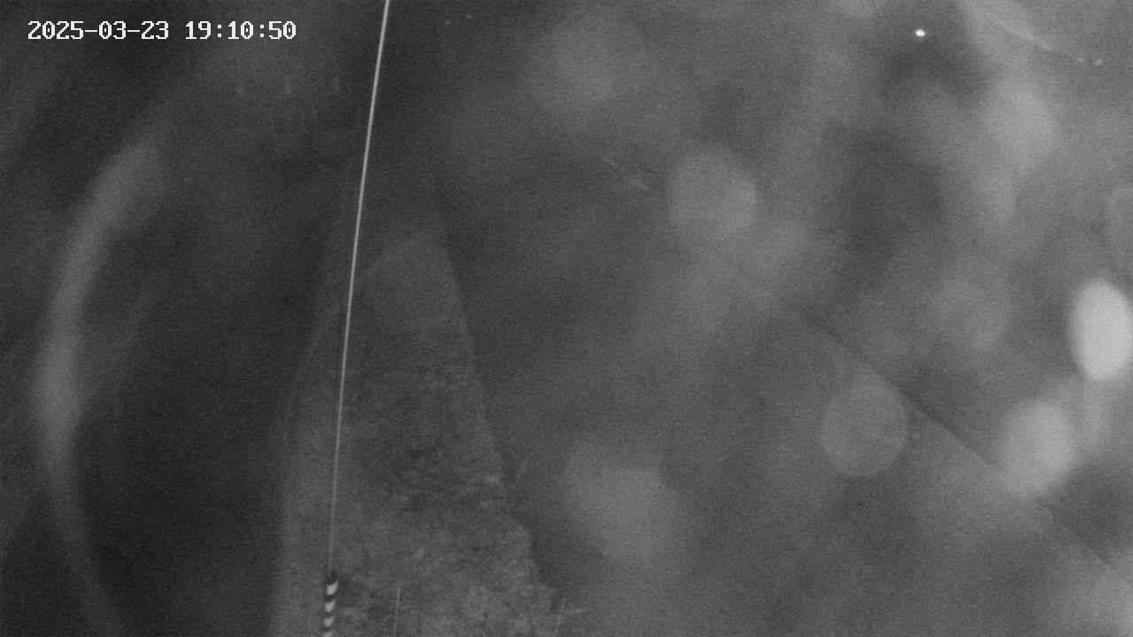 area11-20250323191051.jpg