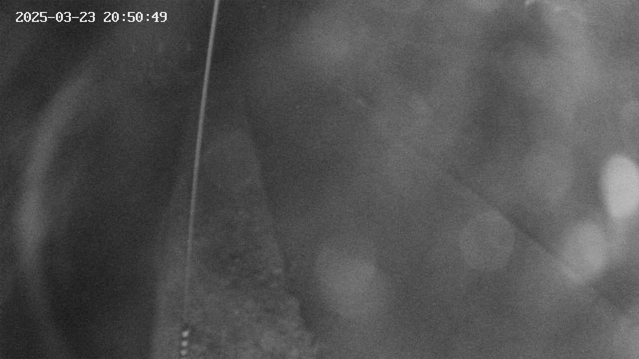 area11-20250323205050.jpg