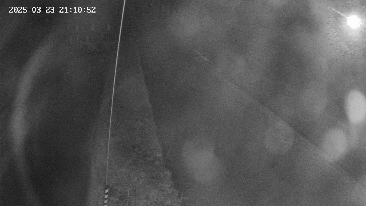 area11-20250323211053.jpg