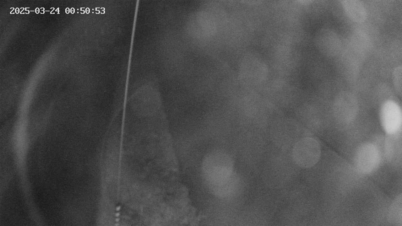 area11-20250324005054.jpg