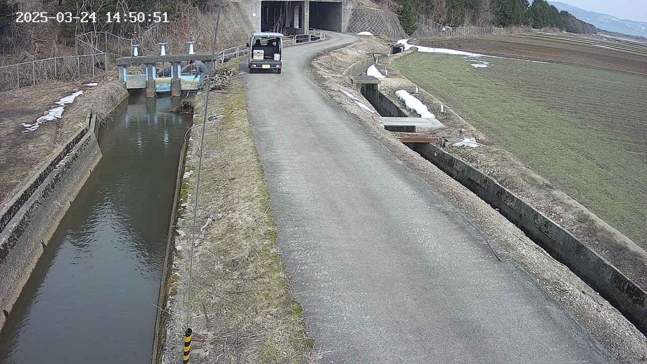 area11-20250324145053.jpg