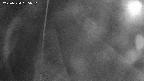 area11-20250324185052.jpg