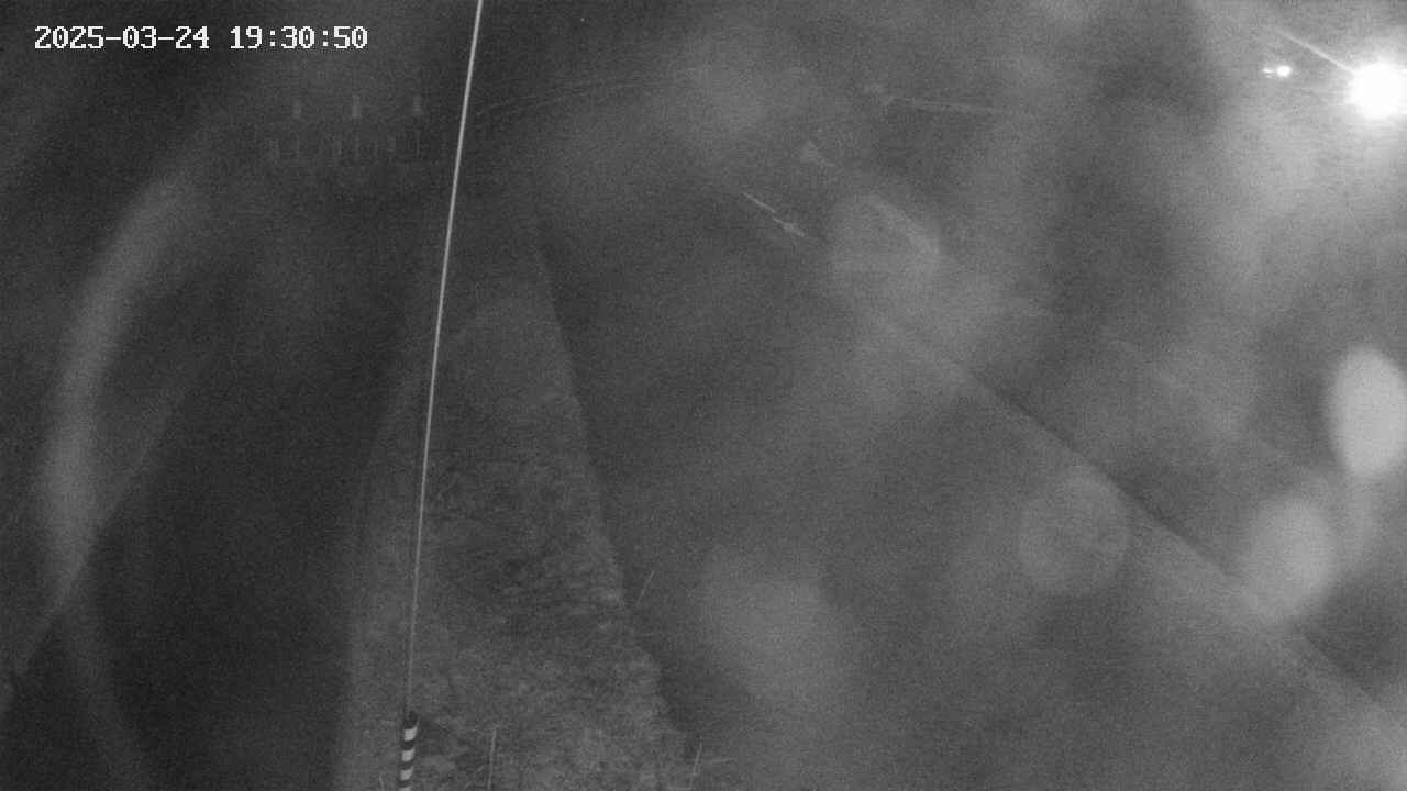 area11-20250324193051.jpg