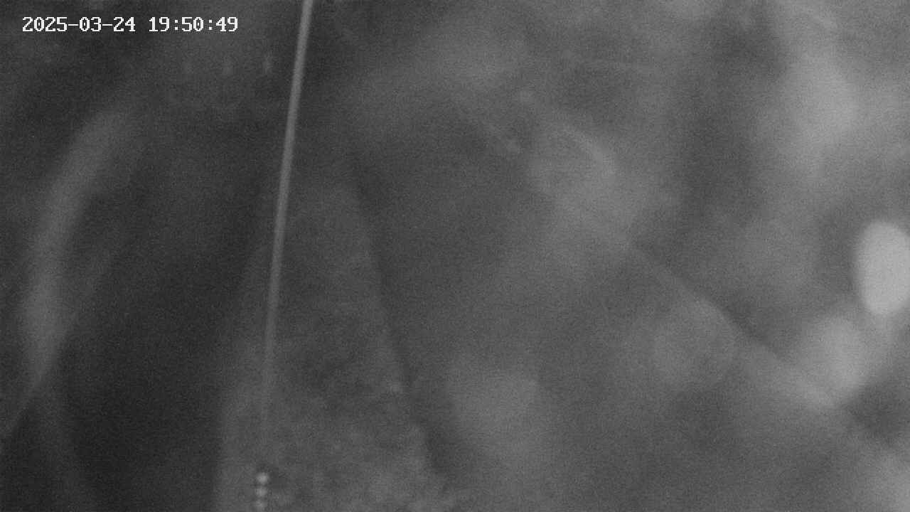 area11-20250324195051.jpg