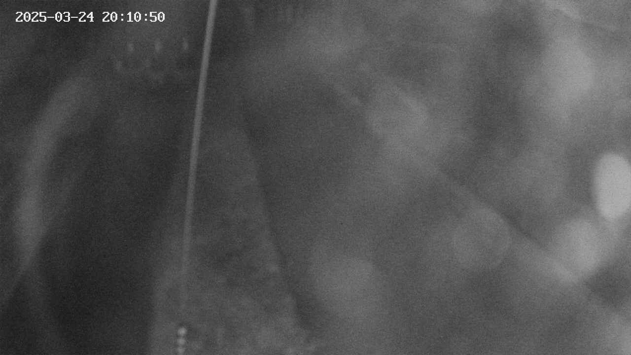 area11-20250324201052.jpg