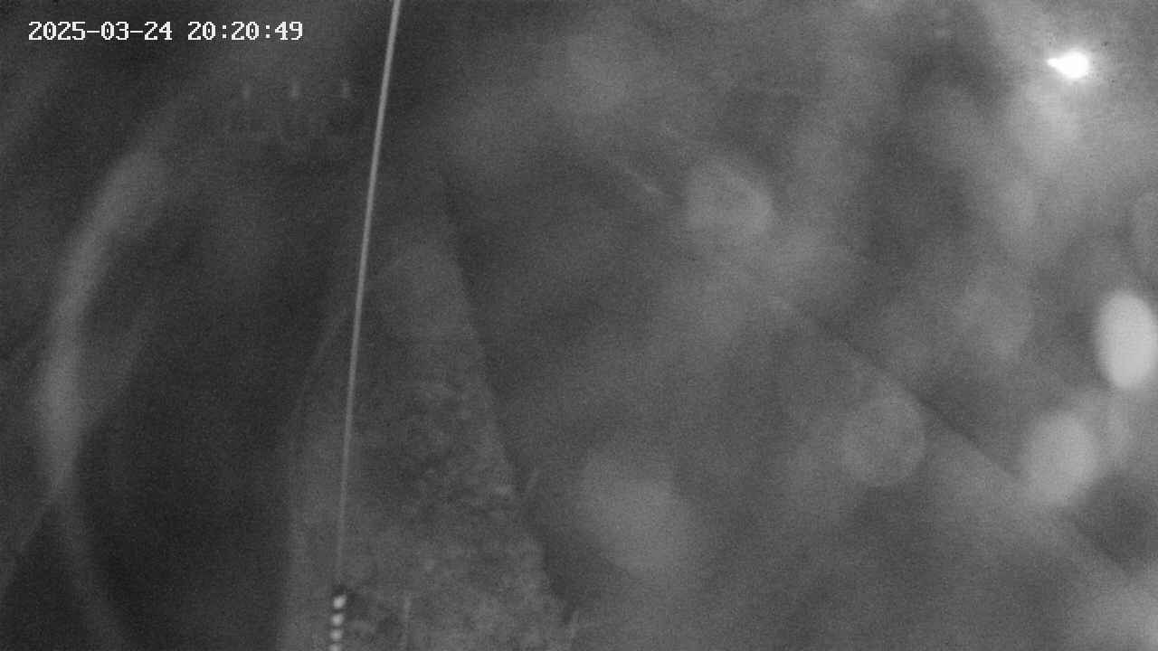 area11-20250324202051.jpg