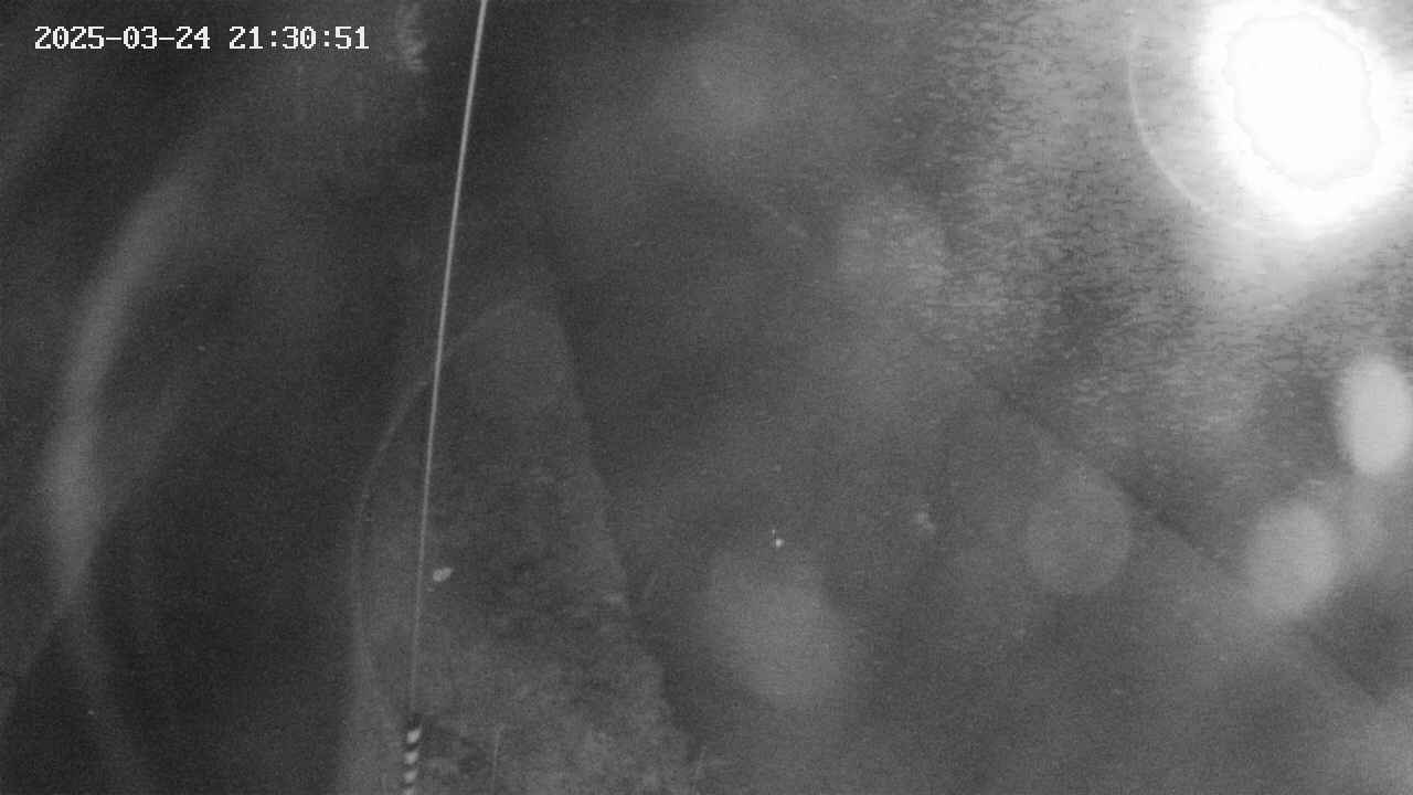 area11-20250324213052.jpg