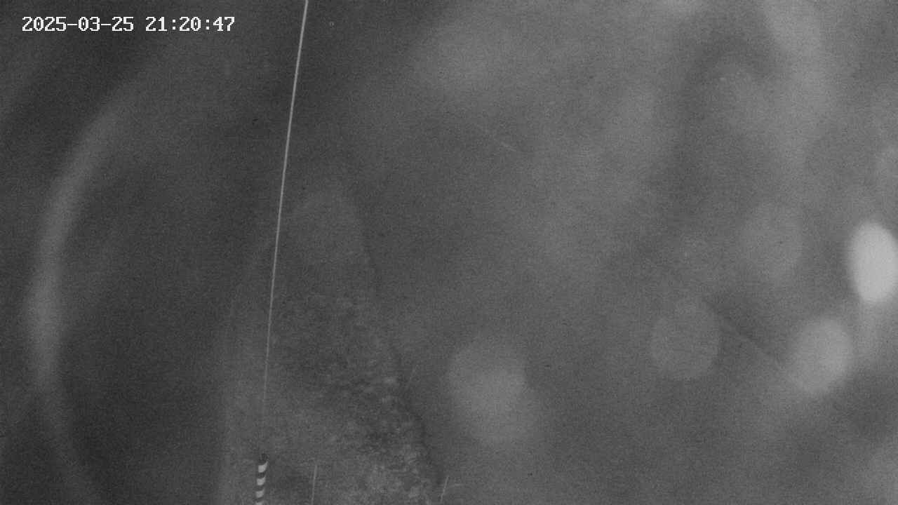 area11-20250325212049.jpg