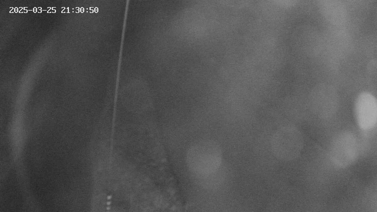 area11-20250325213052.jpg