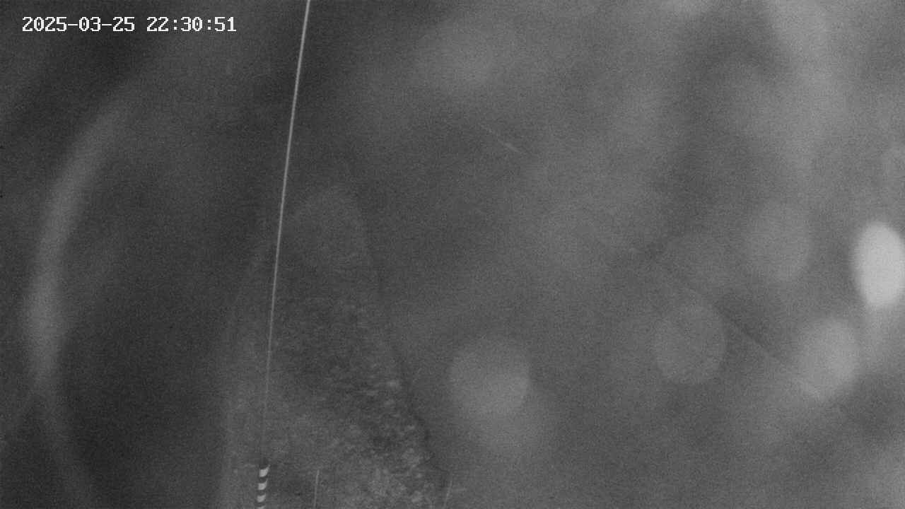 area11-20250325223052.jpg