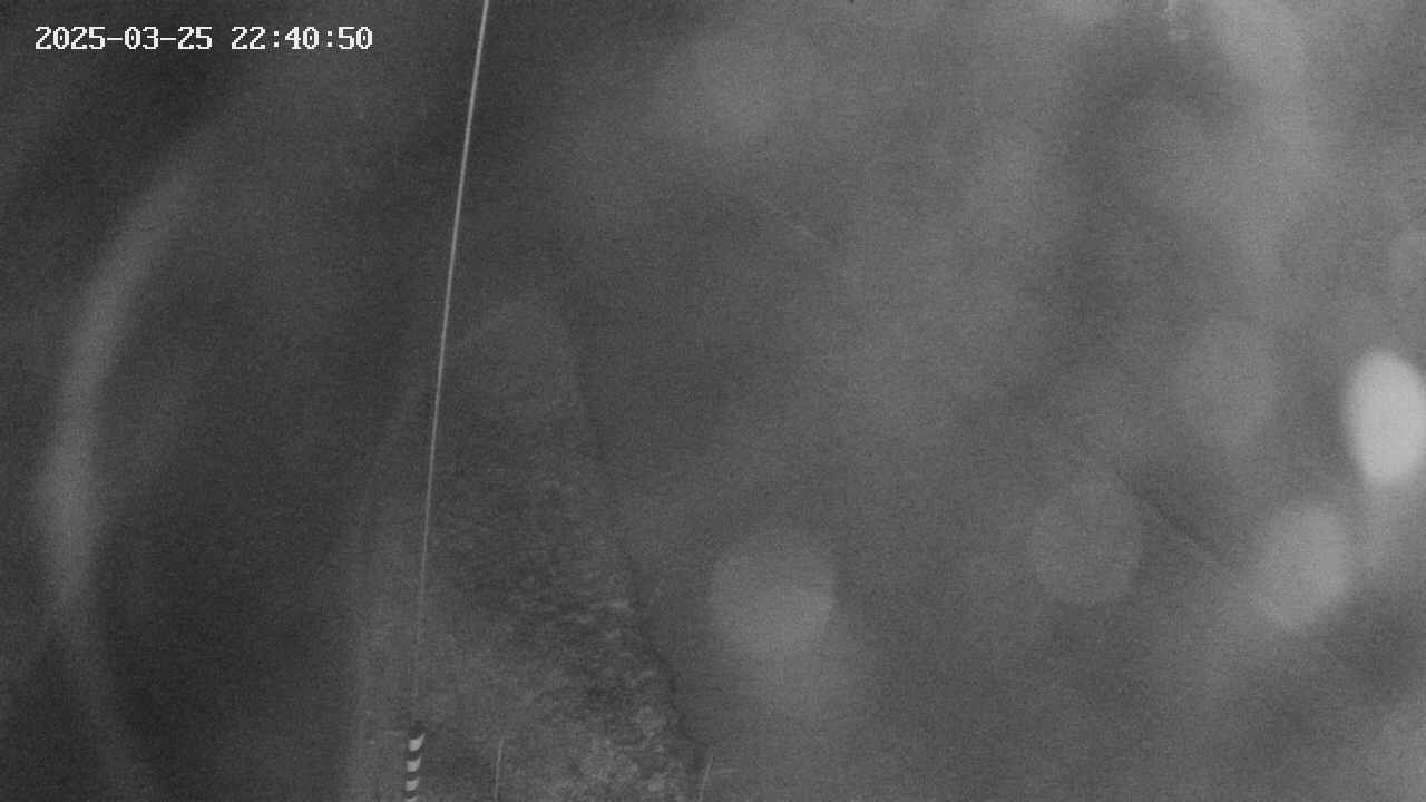 area11-20250325224052.jpg