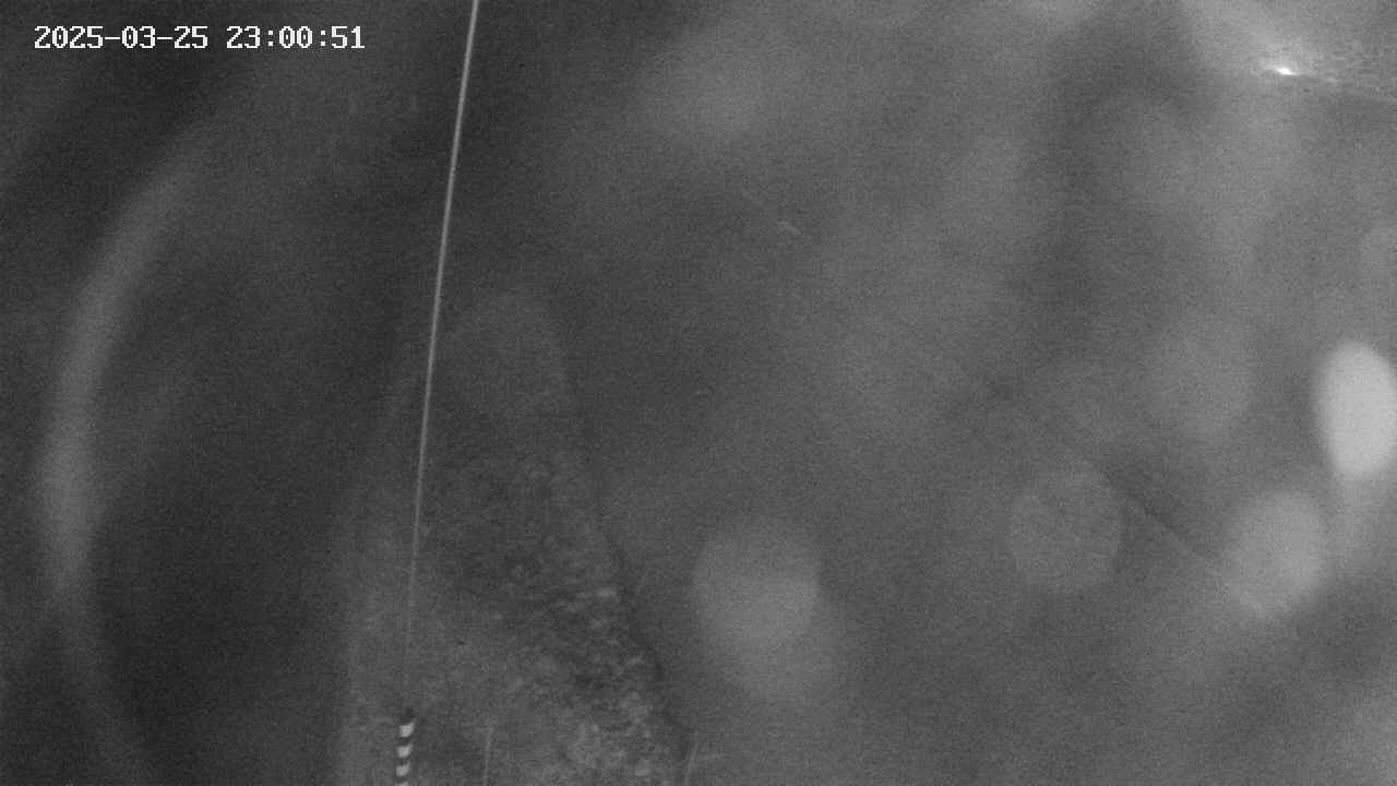 area11-20250325230052.jpg