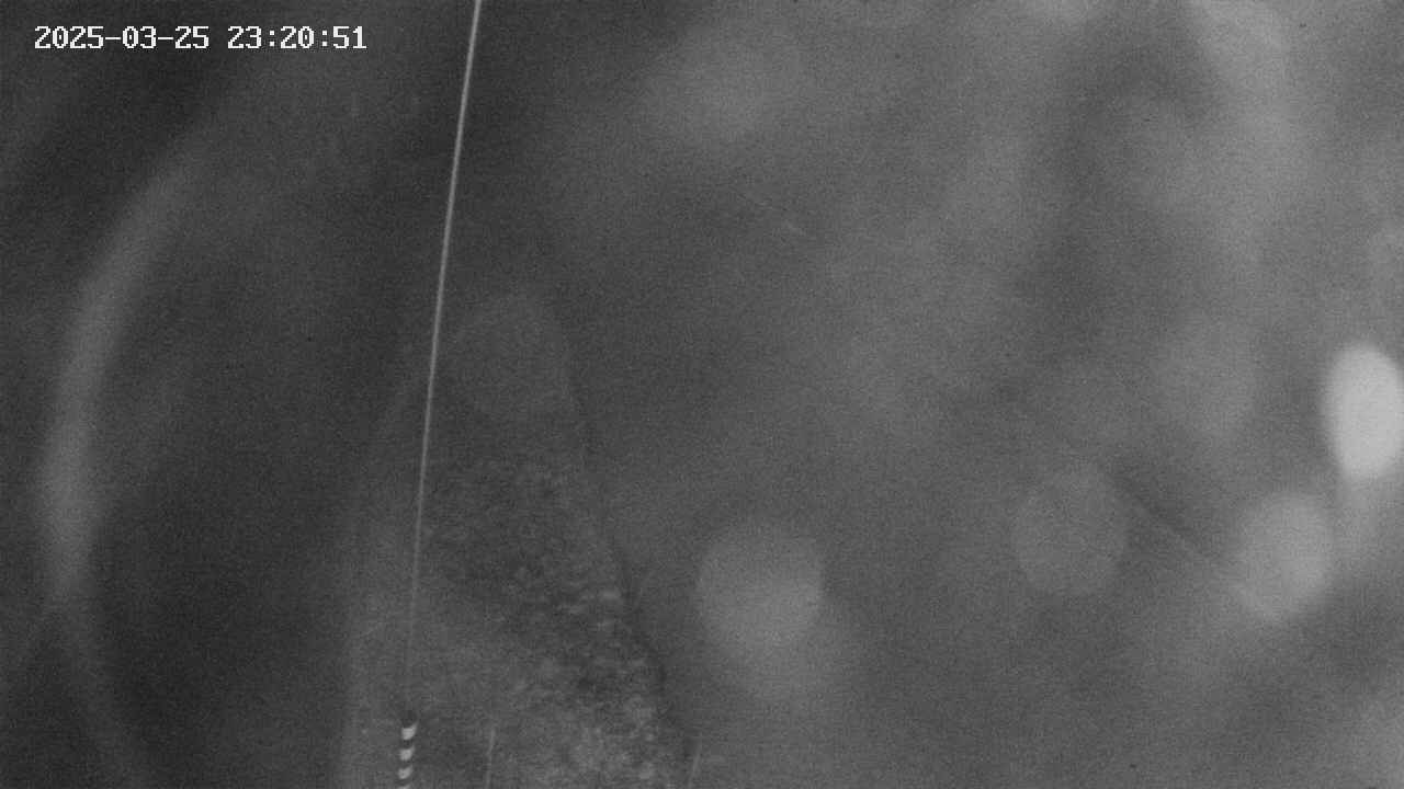 area11-20250325232052.jpg