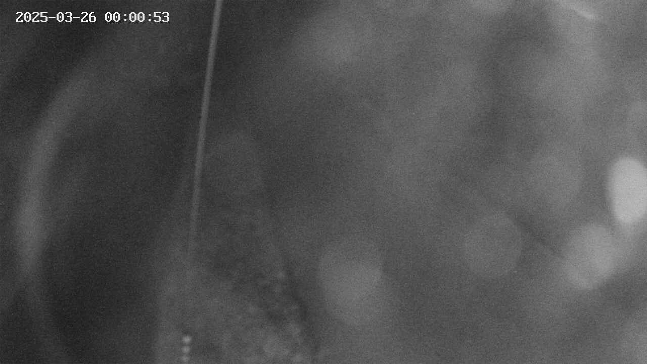 area11-20250326000055.jpg