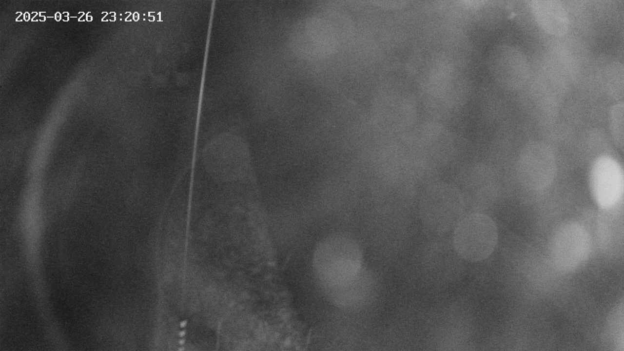 area11-20250326232053.jpg