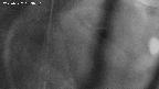 area11-20250327183051.jpg