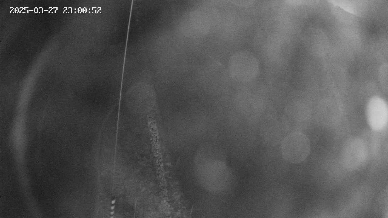 area11-20250327230053.jpg