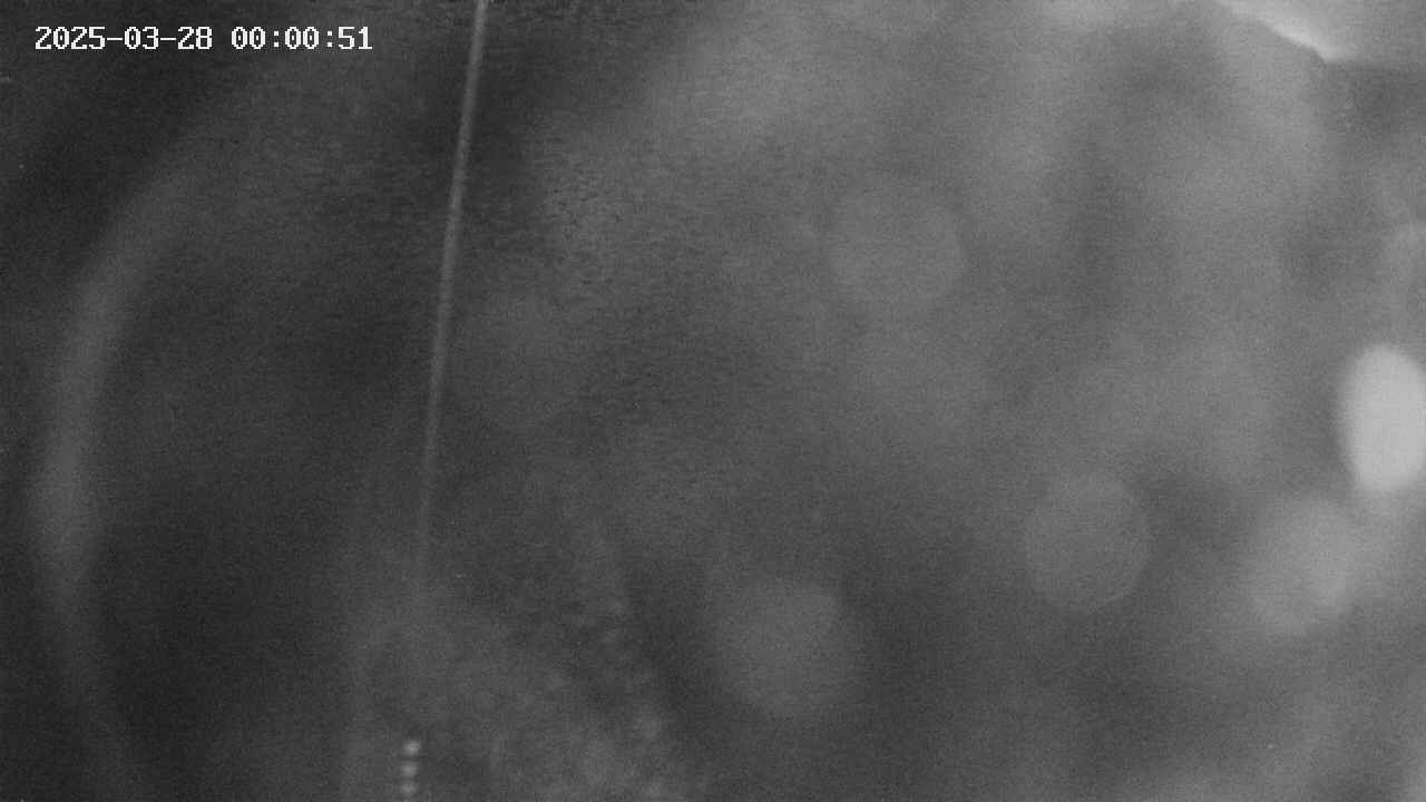area11-20250328000052.jpg