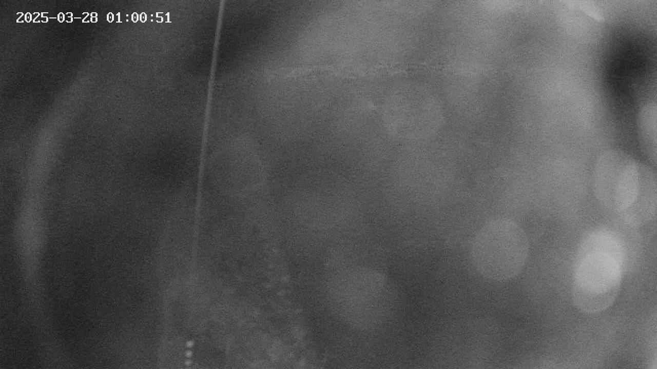 area11-20250328010052.jpg