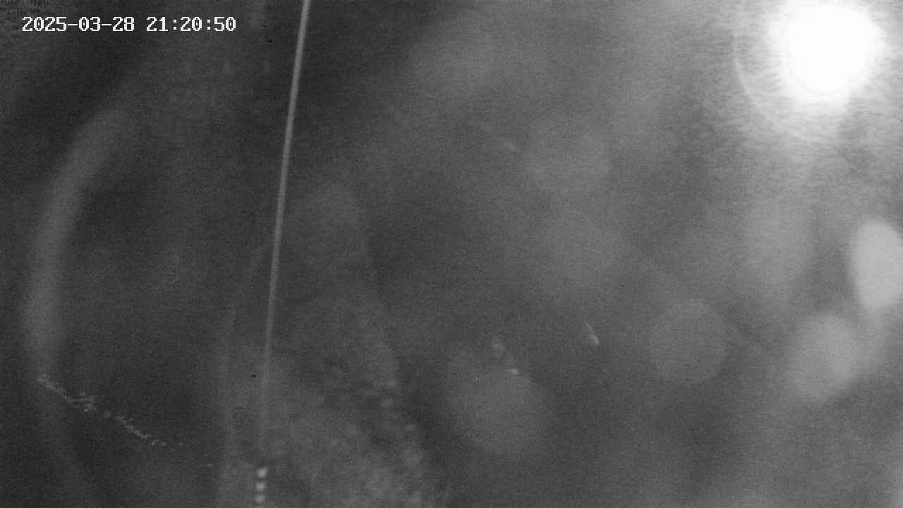 area11-20250328212051.jpg