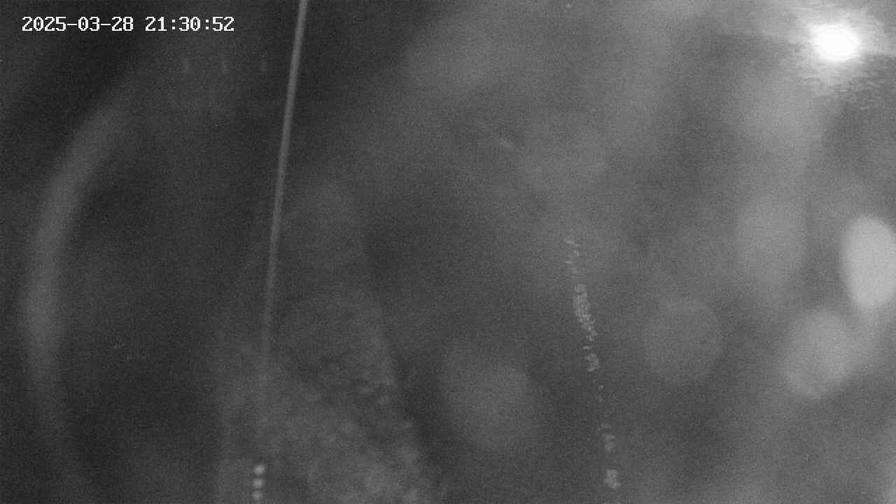 area11-20250328213053.jpg