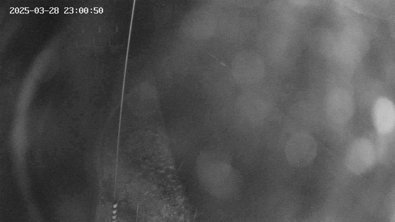 area11-20250328230051.jpg
