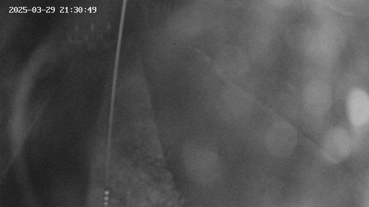 area11-20250329213050.jpg