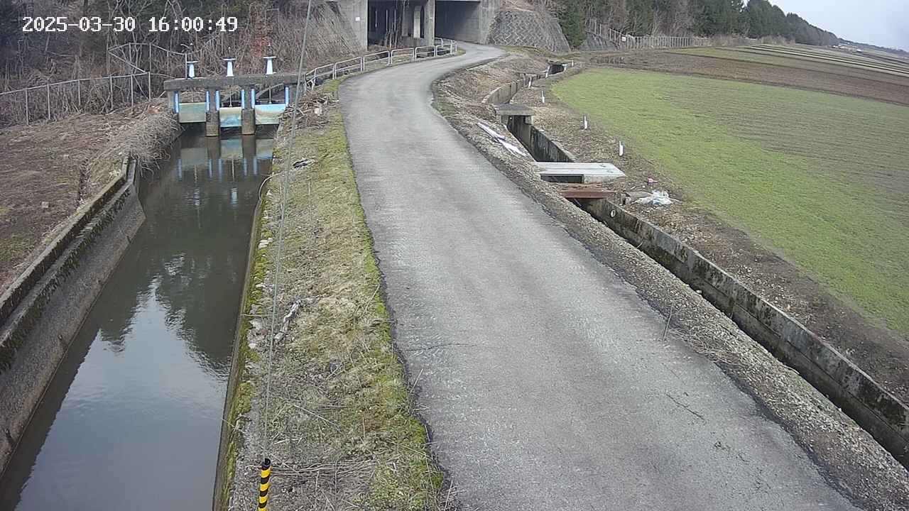 area11-20250330160051.jpg